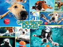 Buffalo Games - Underwater Dogs - 750 Piece Jigsaw Puzzle
